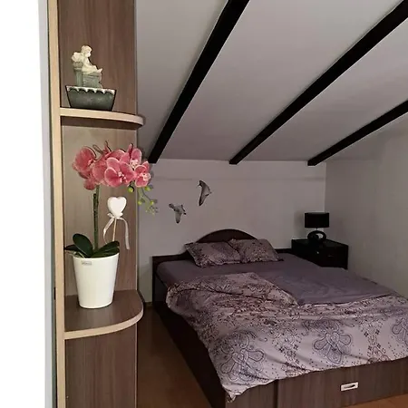Myplace 2 + Terasa Cluj-Napoca